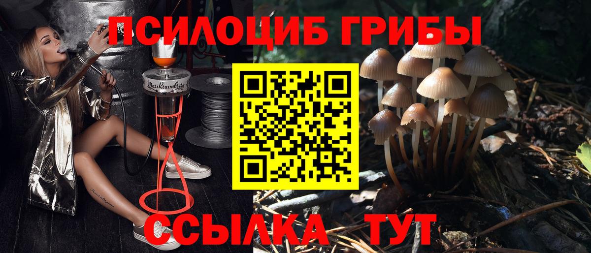 Галлюциногенные грибы ЛСД Троицк