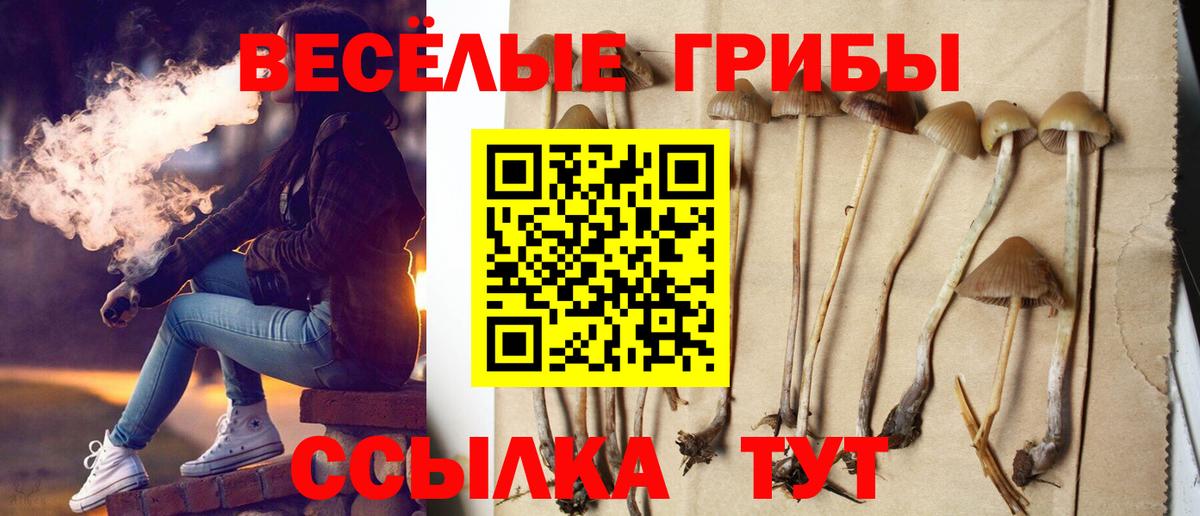 Галлюциногенные грибы GOLDEN TEACHER  где купить   Троицк  Вход с VPN 